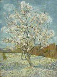 De roze perzikboom