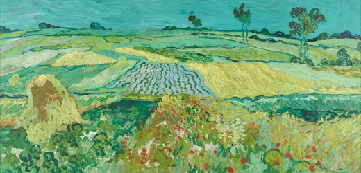 De vlakte bij Auvers