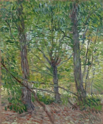 Bomen