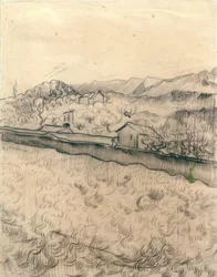 Ommuurd Veld