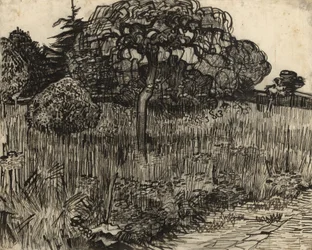 Huilende boom, 1889