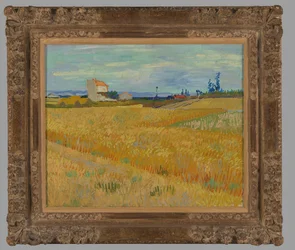 Tarweveld