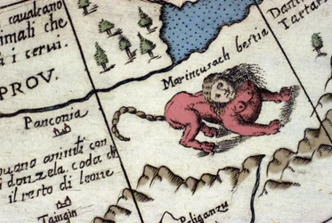 Voorstelling van een mantichora, een fabeldier met een mensenhoofd (vaak met hoorns, blauwe ogen en drie rijen tanden), een schorpioenen- of drakenstaart en een leeuwenlichaam. Detail van een wereldkaart van Vincenzo Coronelli (1650-1718). 17e eeuw
