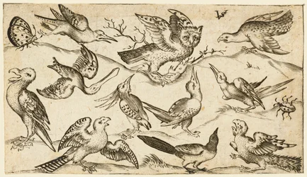 Elf vogels en twee insecten op minimale grond met uil met uitgespreide vleugels