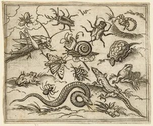 Groep insecten en reptielen op een vlakke ondergrond met rotsen, inclusief een leguaan, een hagedis, 1557
