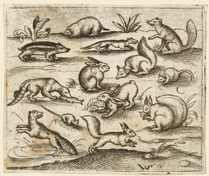 Groep kleine bosdieren die eten en rond een vijver rennen, inclusief een muis