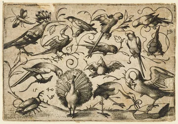 Tien vogels op kleine loofranken met een ooievaar die een rank om het been van een pelikaan bindt..., 1540