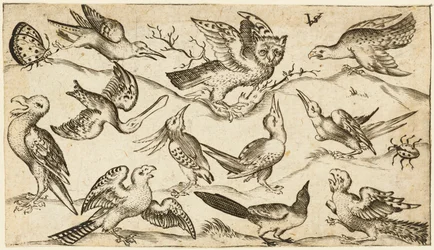 Elf vogels en twee insecten op minimale grond met een uil met uitgestrekte vleugels zittend op een tak in het midden met andere vogels eromheen die de uil plagen, uit Douce Ornament Prints Album I, na 1572