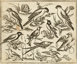 Elf vogels zittend op bloeiende takken en kleine takjes met een vlinder