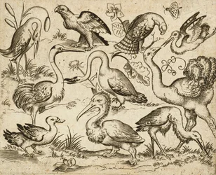 Struisvogel aan de linkerkant met negen andere vogels, waaronder een reiger en een pelikaan