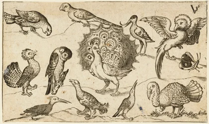 Pauw in het midden, omringd door negen andere vogels, waaronder een kalkoen, en een vlinder op een sobere ondergrond met een klein grasveldje, uit Douce Ornament Prints Album I