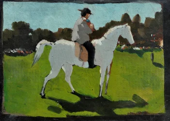 Wit paard met jockey