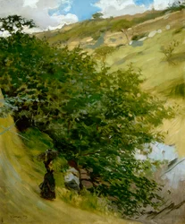 Houtstapel in landschap