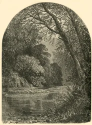 Moss Islands, in de Juniata, 1874