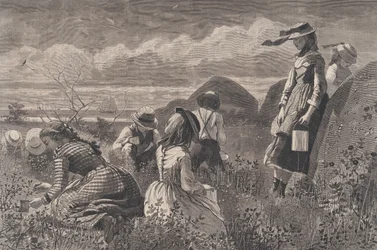 Bessen plukken Harper