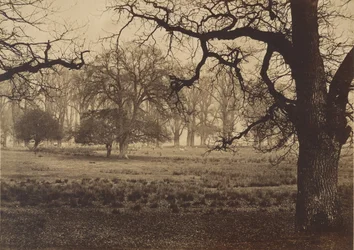 Windsor Park, herten voeren, 1850s