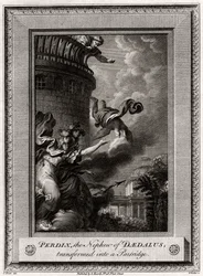 Perdix, de neef van Daedalus, veranderd in een patrijs, 1774