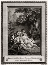 Procris gedood door een pijl die Cephalus door het struikgewas schoot