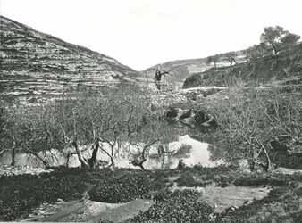 De vijver van Siloam, Jeruzalem, Palestina, 1895