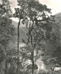 Uitzicht op de Kelani-rivier, Kurunegala, Ceylon, 1895