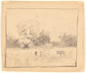 Landschap