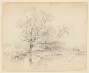 Schets van landschap