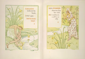 Narcissus en ogentroost