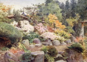 Een Rotstuin in Nikko, Cosmos en Esdoorn