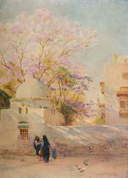 De Jacaranda, c1905, 1912