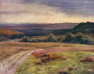 Het New Forest: Boldrewood Walk, Puck Pitts, vanaf de Fritham Road