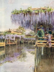Wisteria in Kameido