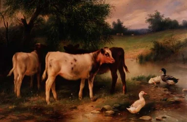 Een schaduwrijk hoekje