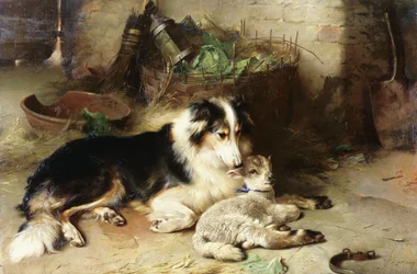 Moederloos: Het huisdier van de herder