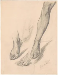 Studies van Voeten