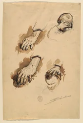 Studies van Handen