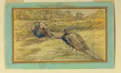 Twee pauwen in een landschap