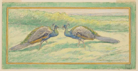 Twee pauwen in een landschap