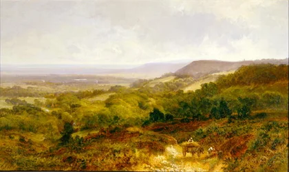 Het Weald van Surrey