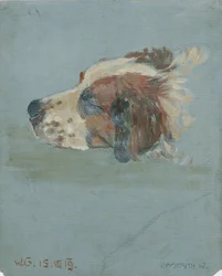 Hondenkop