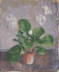Stilleven met bloempot