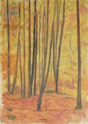 Binnen in het bos