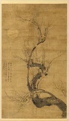 Een prunus in het maanlicht