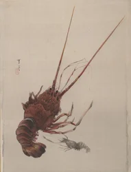 Kreeft, ca. 1887