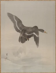 Vliegende gans, ca. 1887