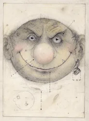 Portret van een Leprechaune