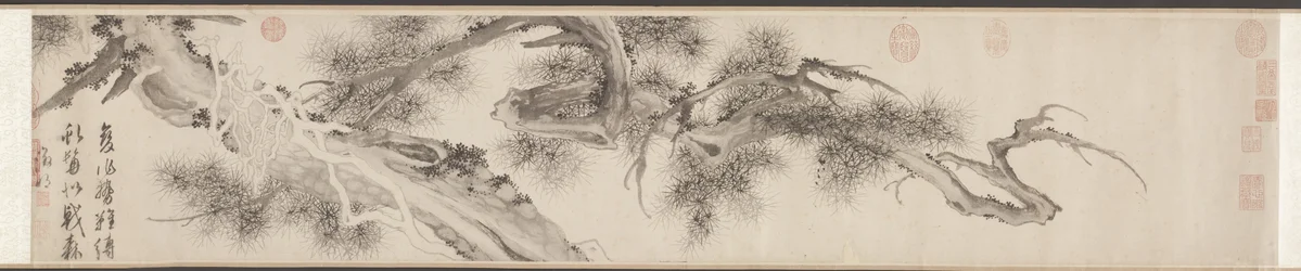 Oude dennenboom, late jaren 1530
