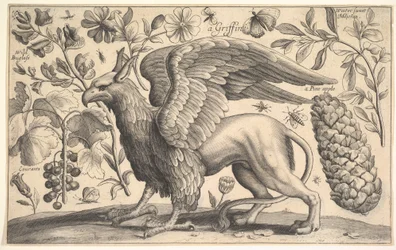 Een Griffioen, 1625-77