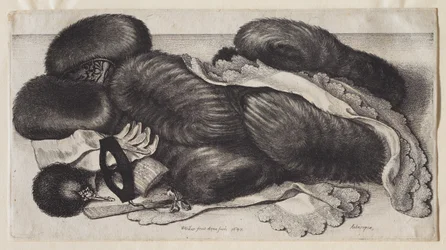 Een groep moffen