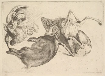 Everzwijn, hert, reiger en ander wild