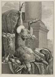 Dode haas